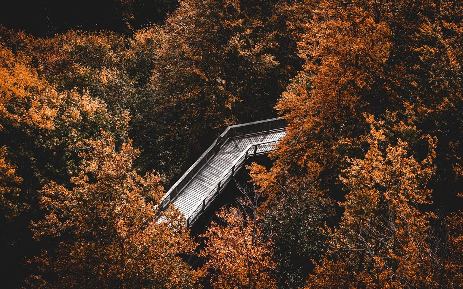 Path, bridge and fall